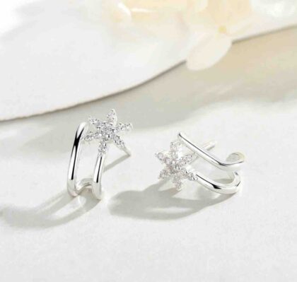 Aros de plata y cubic